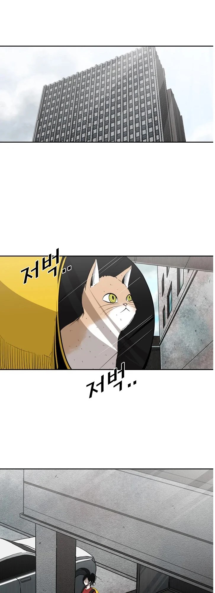 Read Shark EN Manga Online