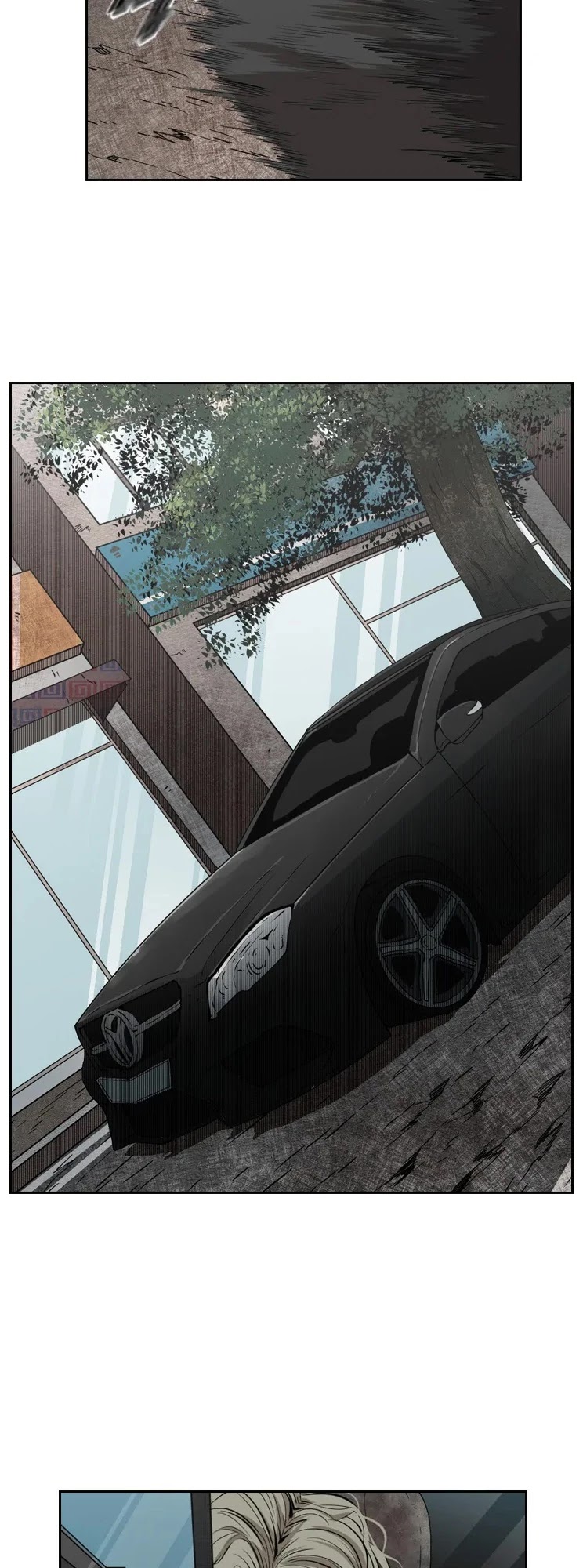 Read Shark EN Manga Online