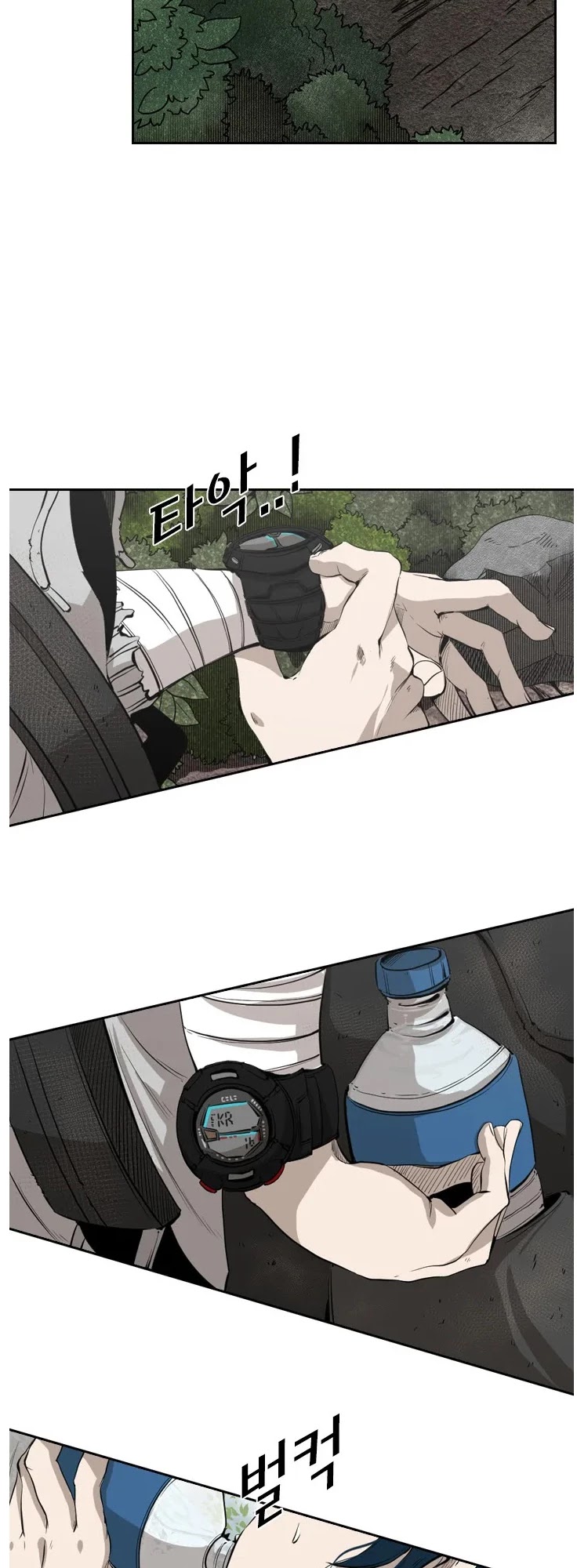 Read Shark EN Manga Online