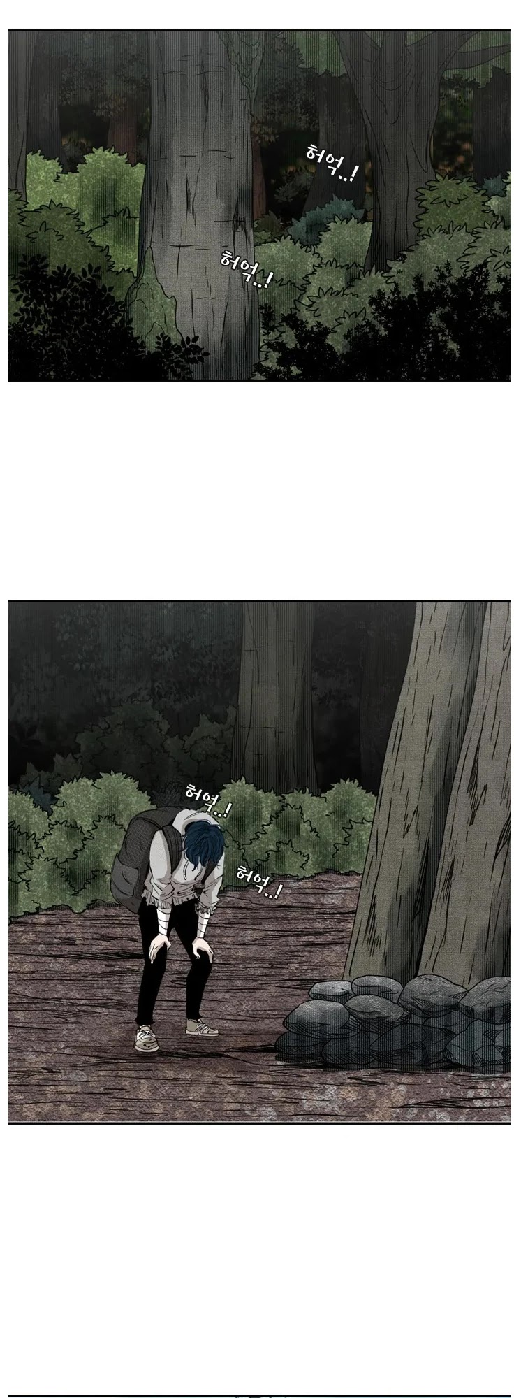 Read Shark EN Manga Online