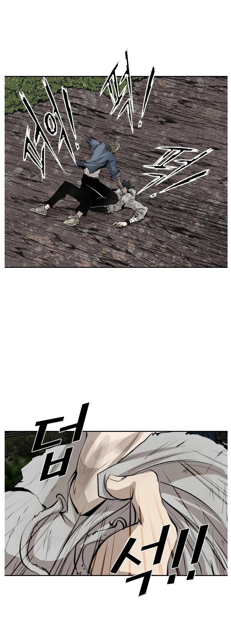 Read Shark EN Manga Online