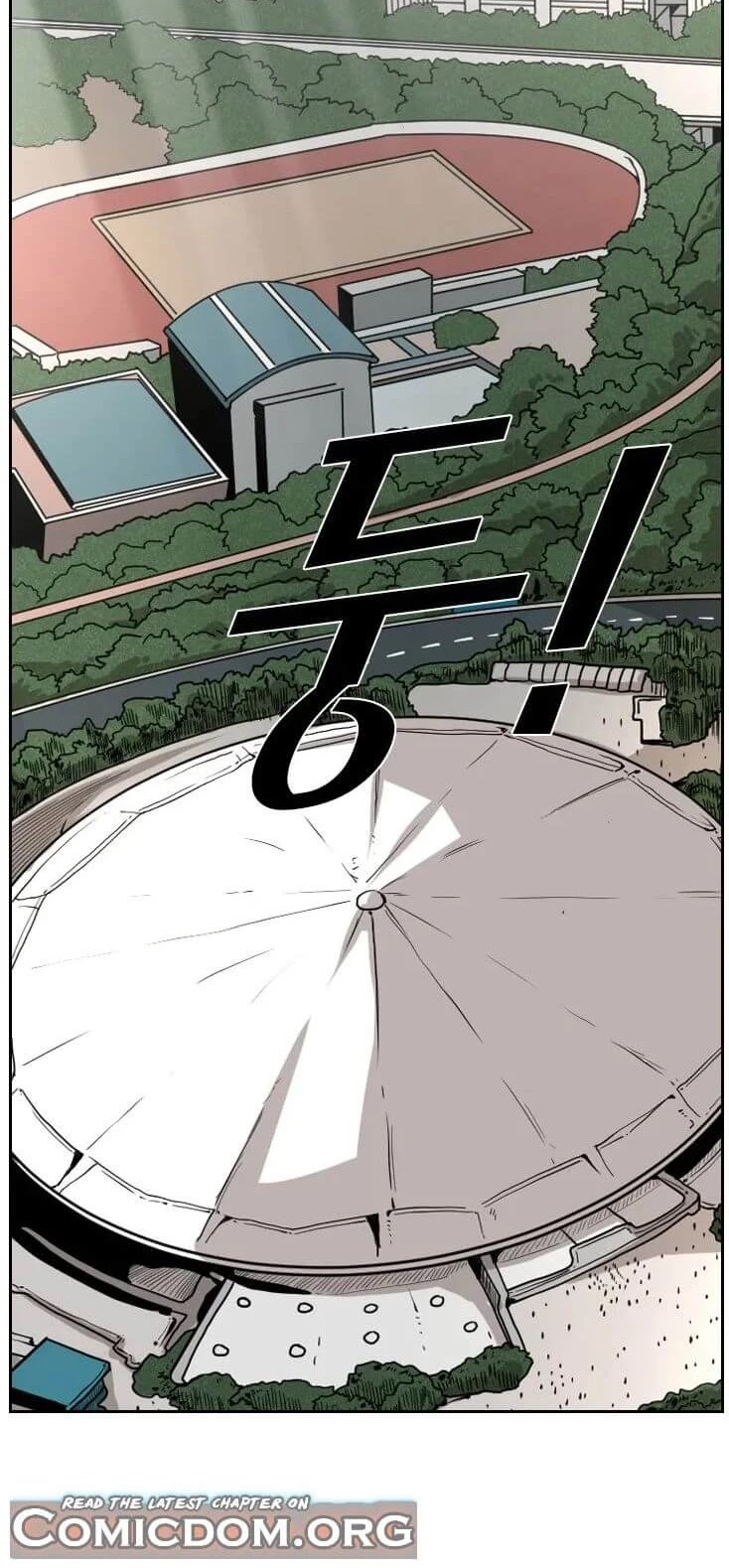 Read Shark EN Manga Online
