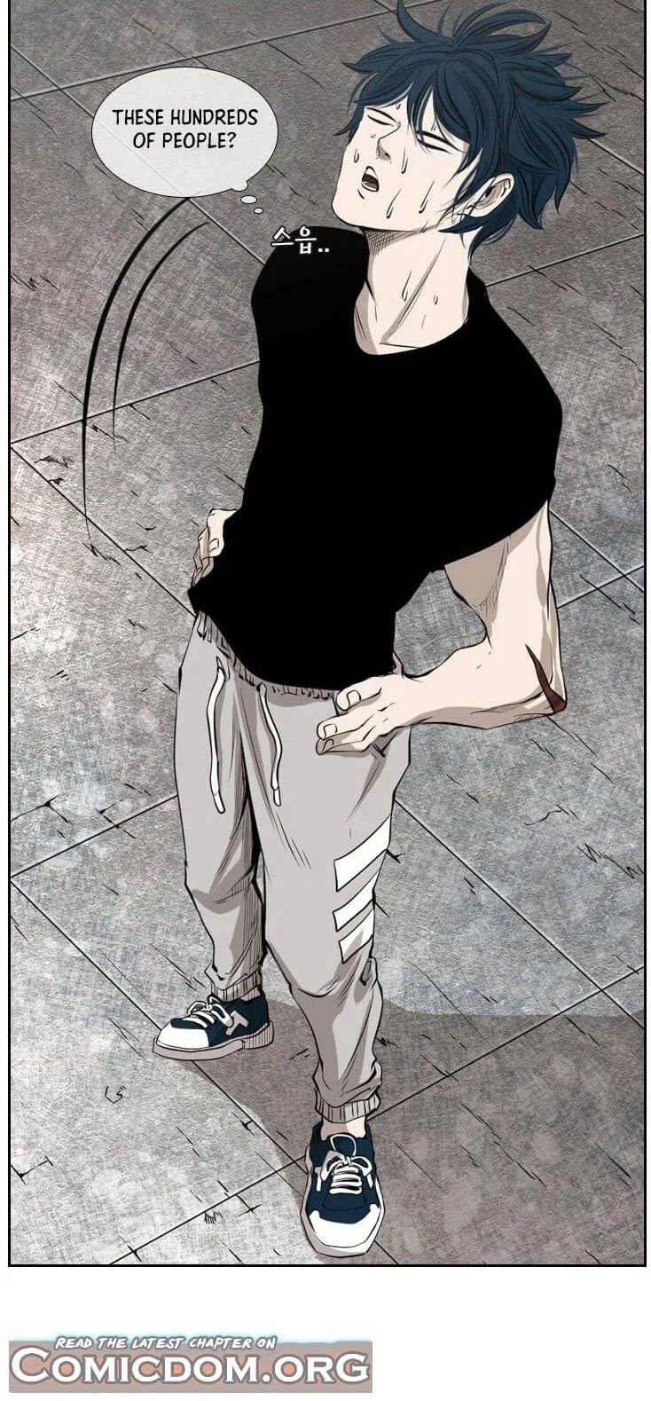 Read Shark EN Manga Online