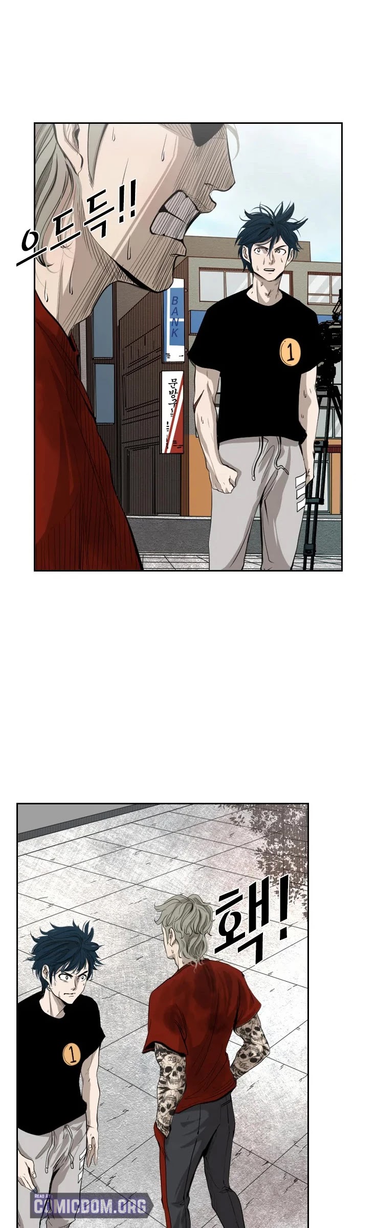 Read Shark EN Manga Online