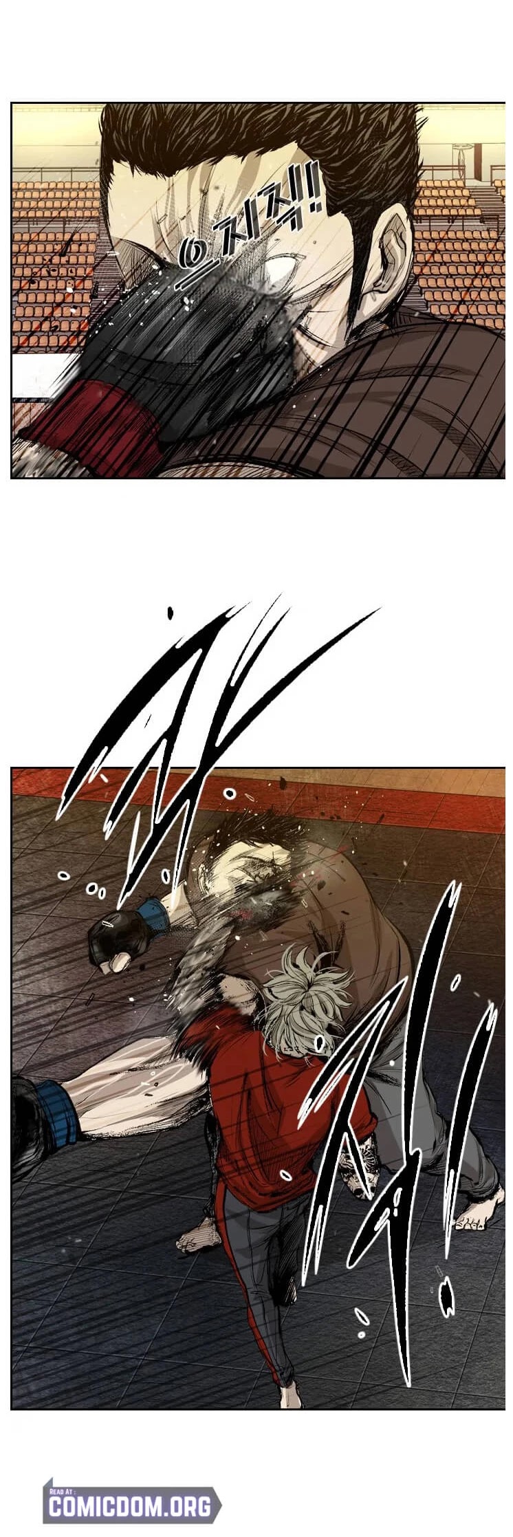 Read Shark EN Manga Online