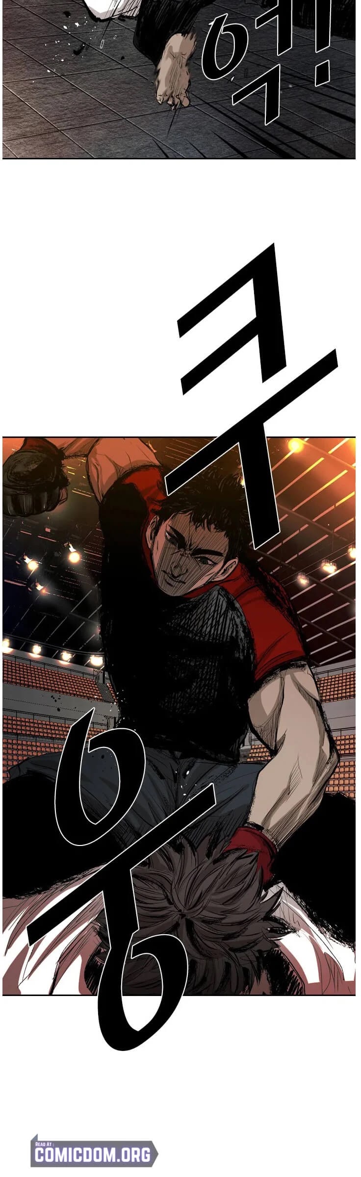Read Shark EN Manga Online
