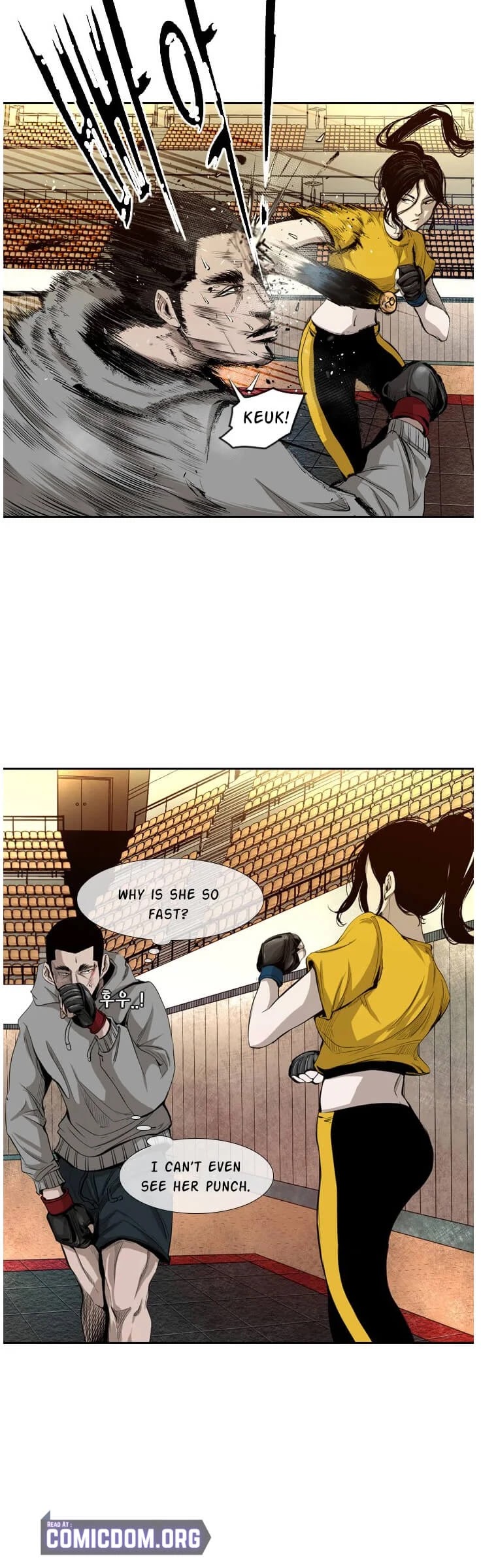 Read Shark EN Manga Online