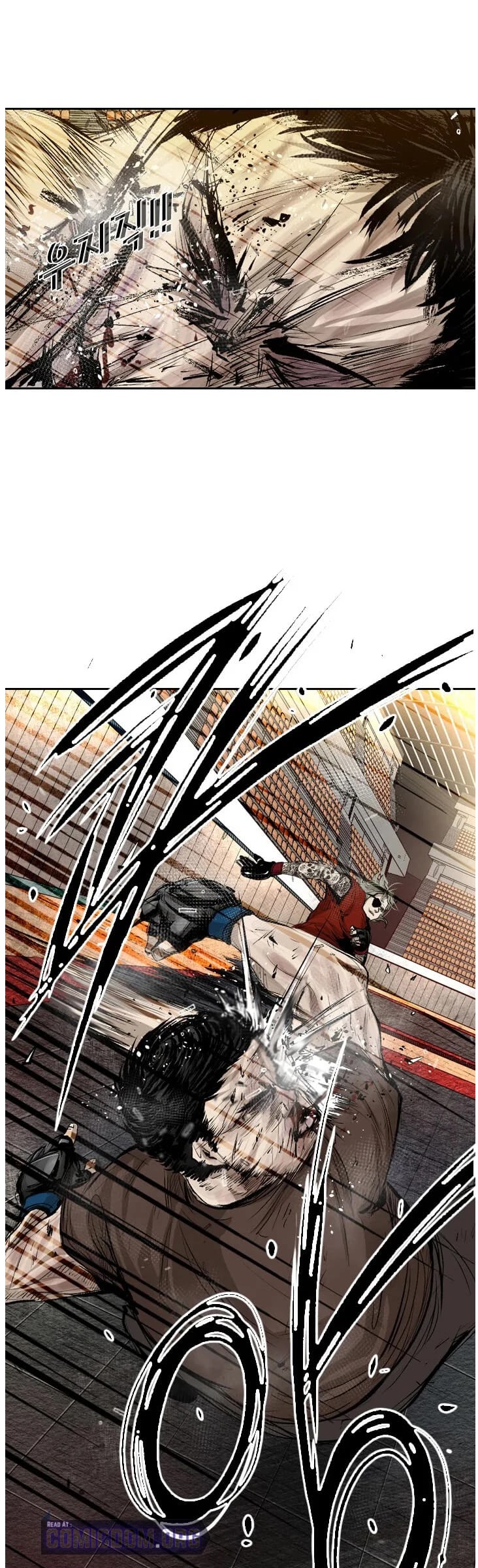 Read Shark EN Manga Online