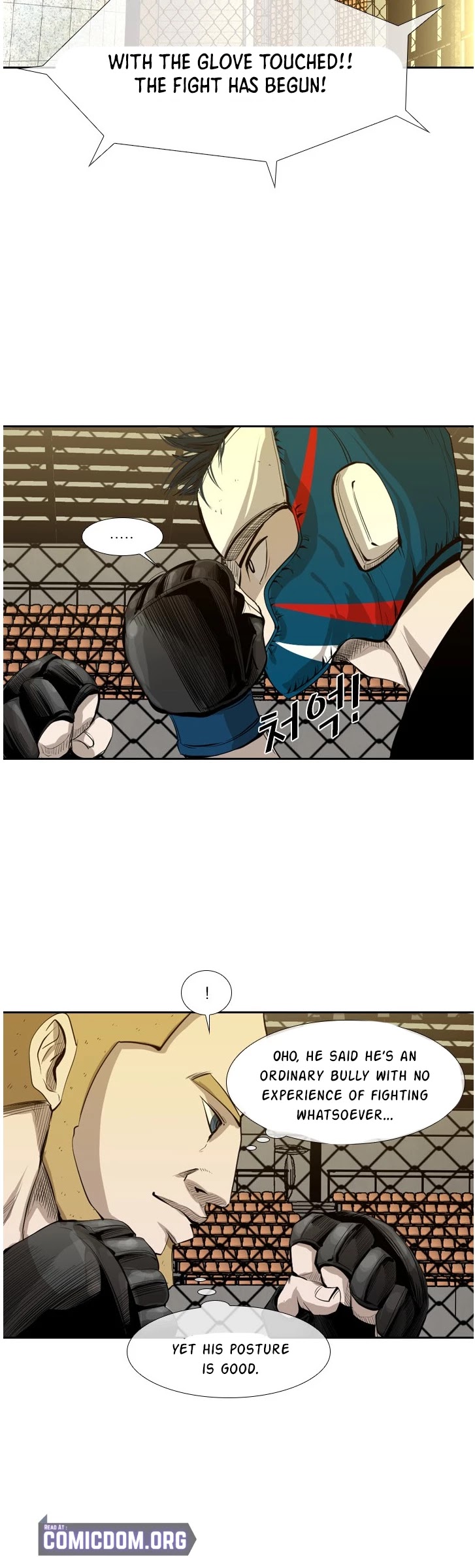 Read Shark EN Manga Online