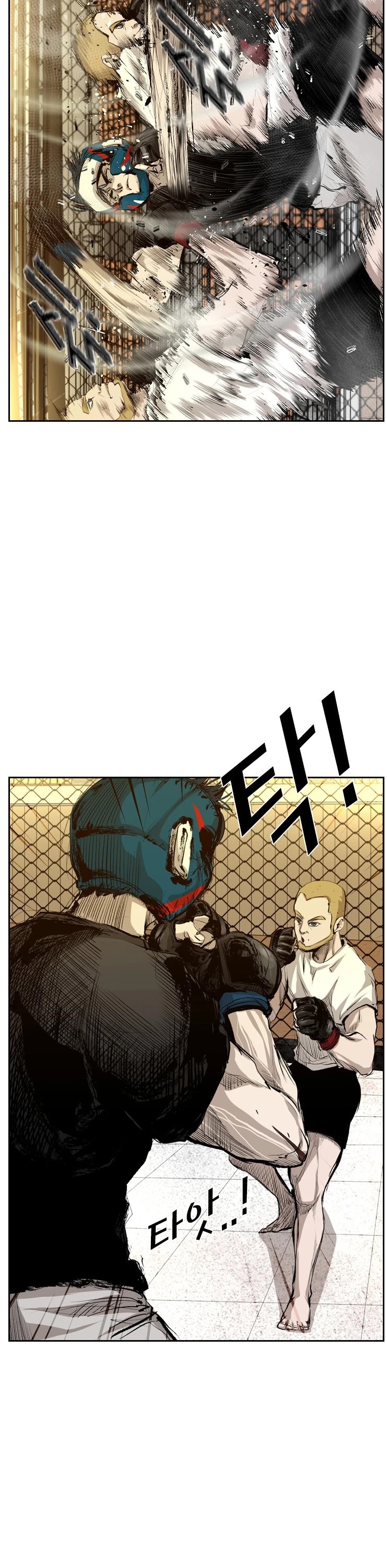 Read Shark EN Manga Online