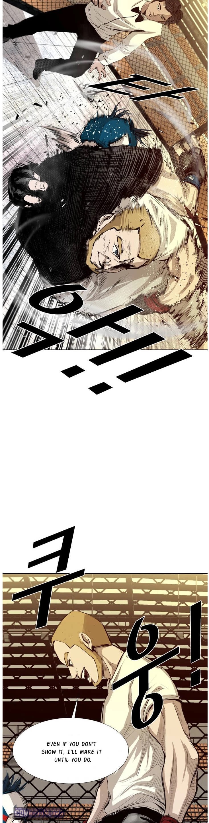 Read Shark EN Manga Online