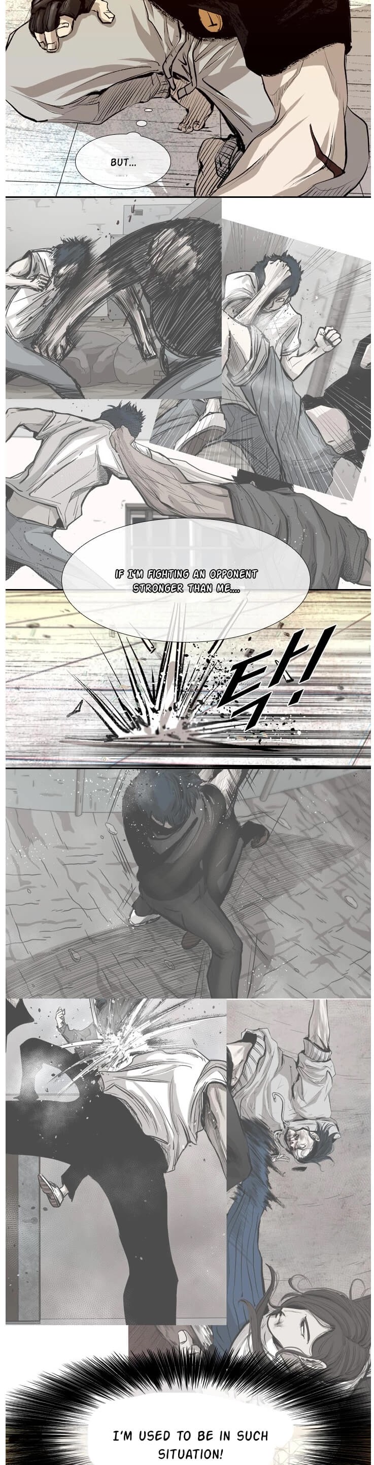 Read Shark EN Manga Online