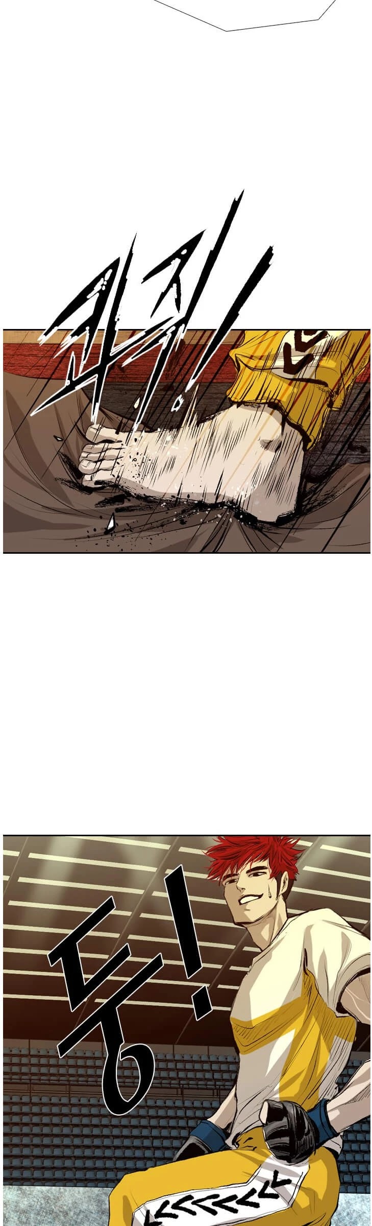 Read Shark EN Manga Online