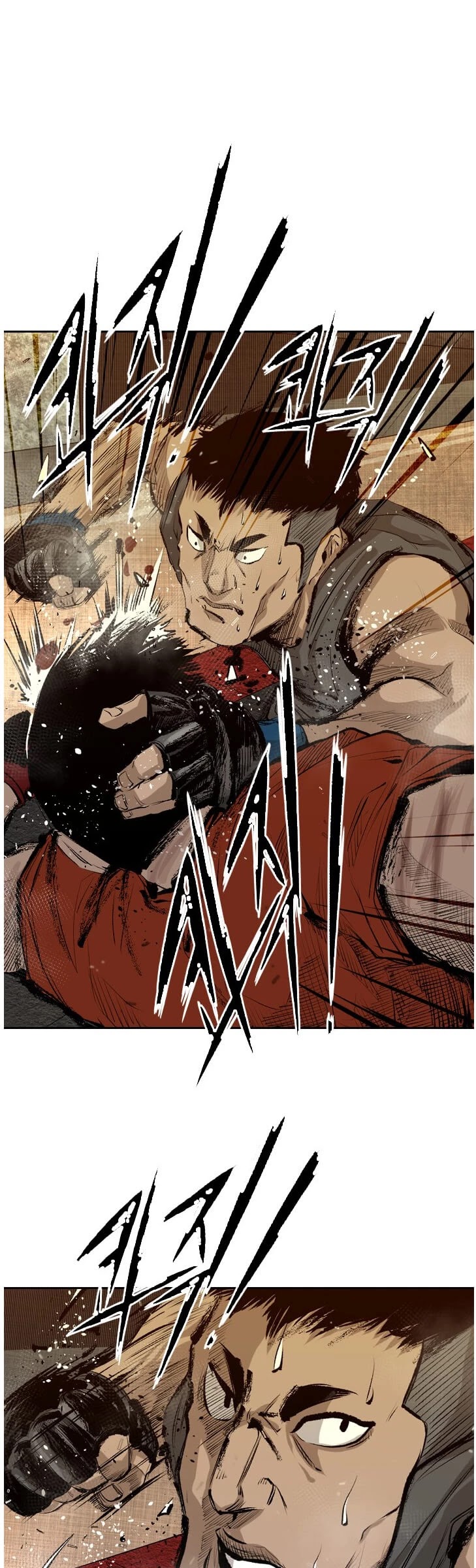 Read Shark EN Manga Online