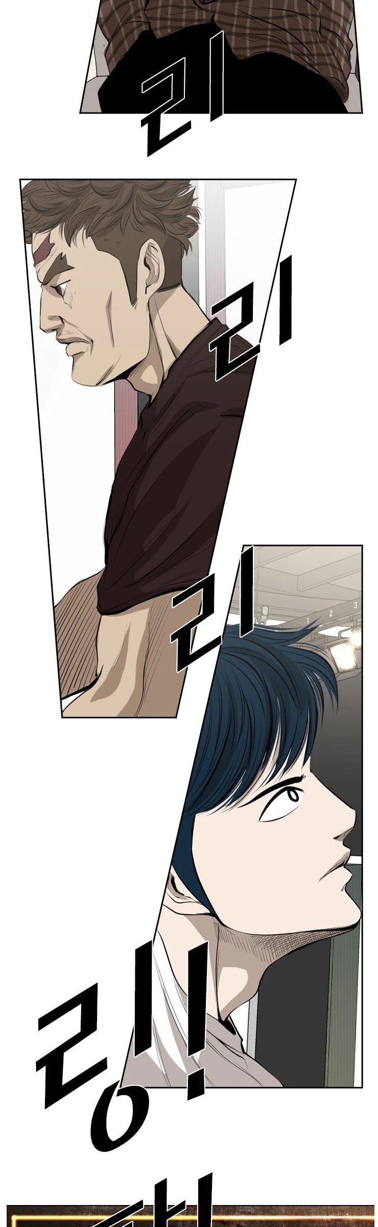Read Shark EN Manga Online
