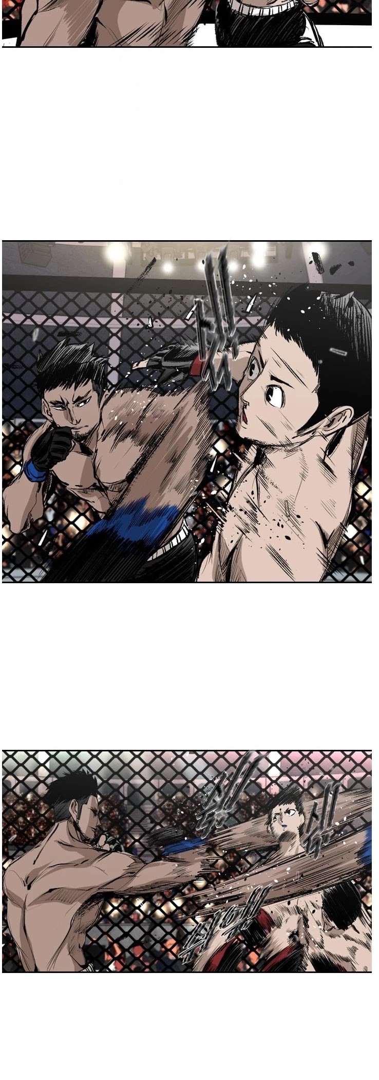 Read Shark EN Manga Online