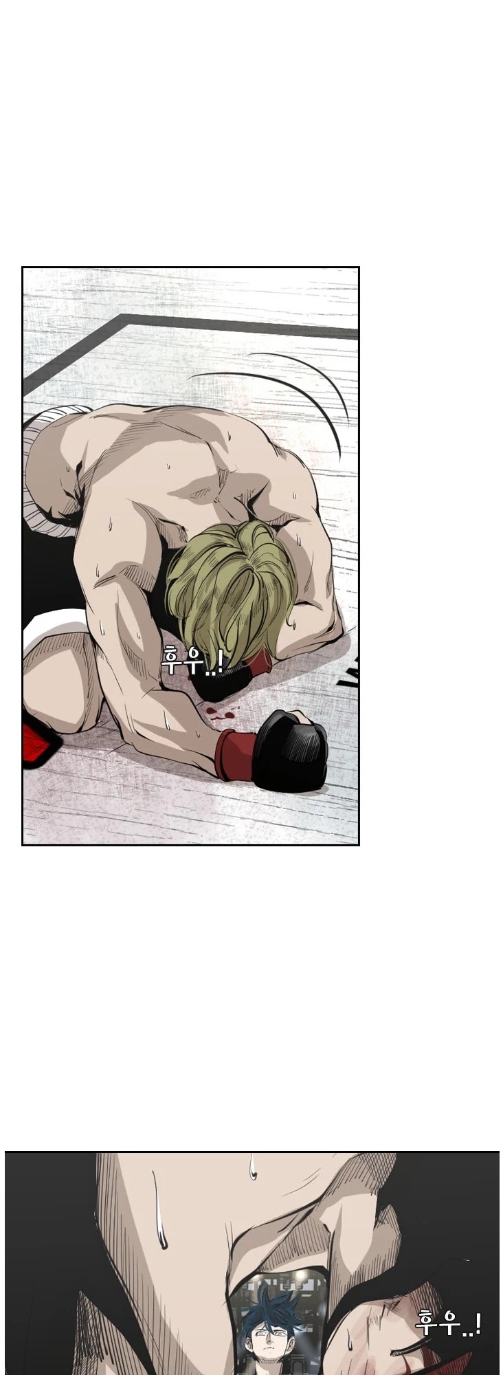 Read Shark EN Manga Online