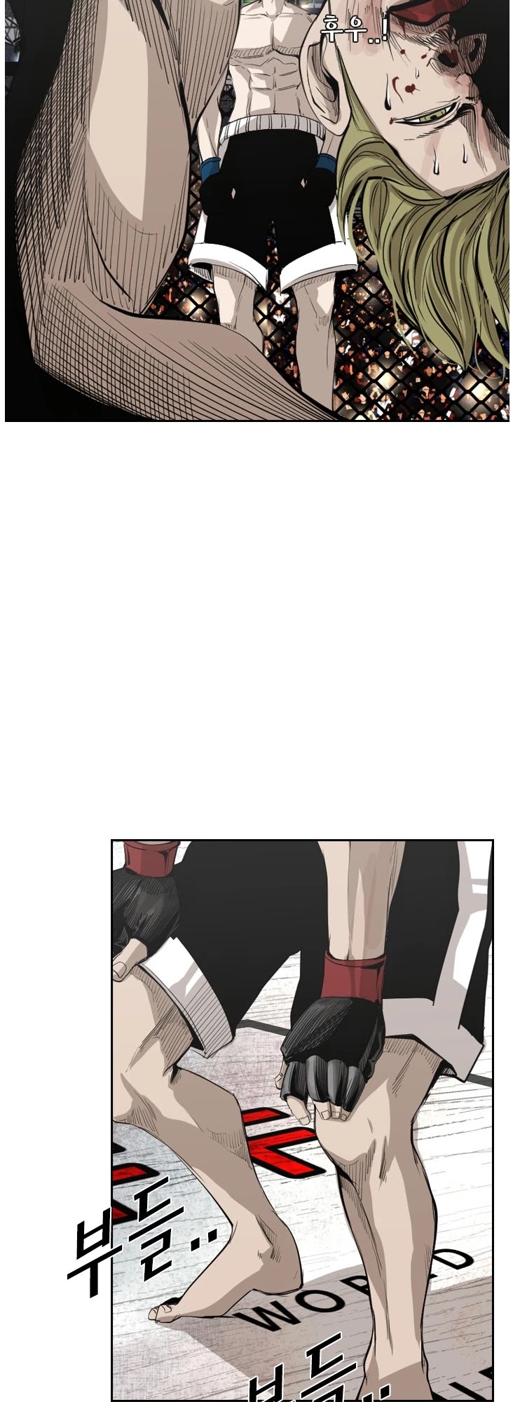 Read Shark EN Manga Online