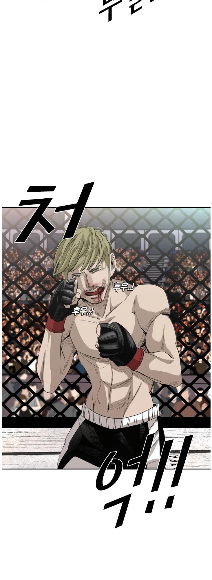 Read Shark EN Manga Online