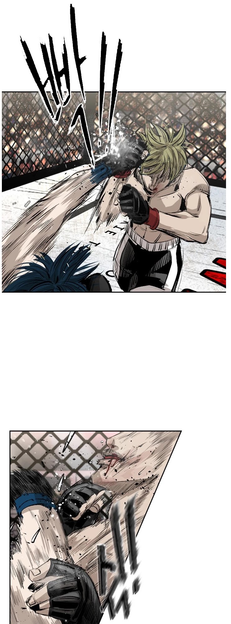 Read Shark EN Manga Online