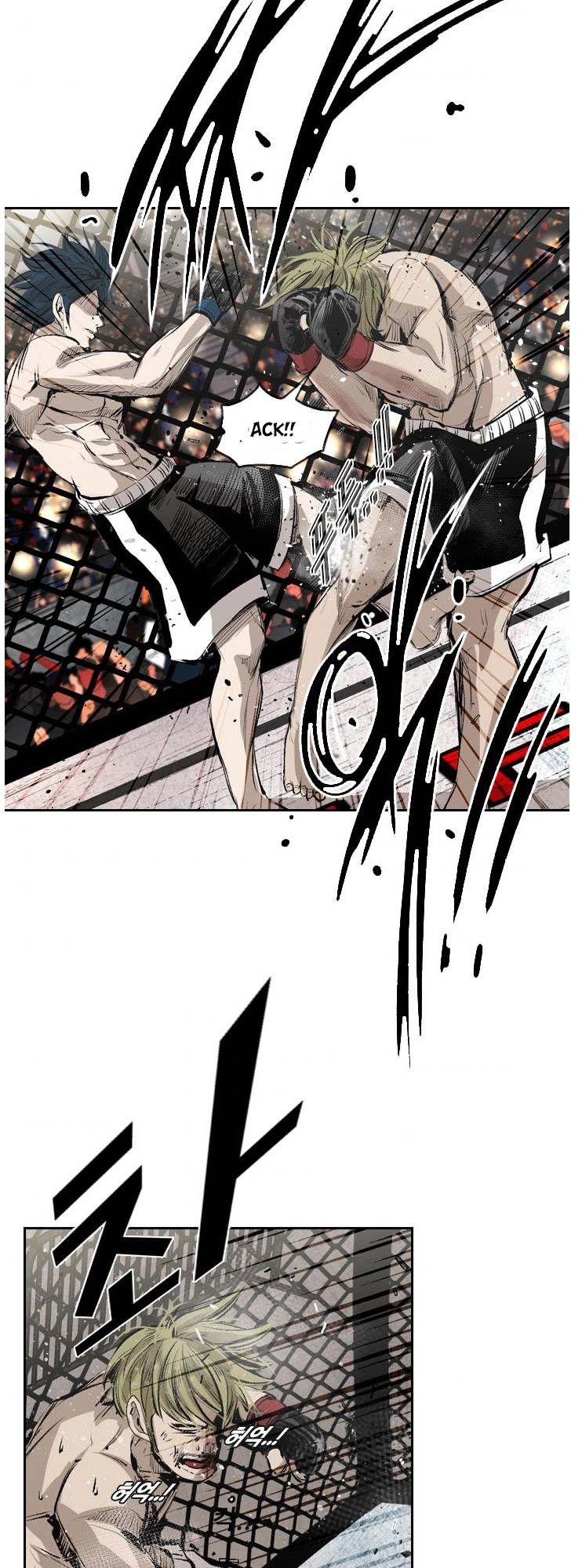 Read Shark EN Manga Online