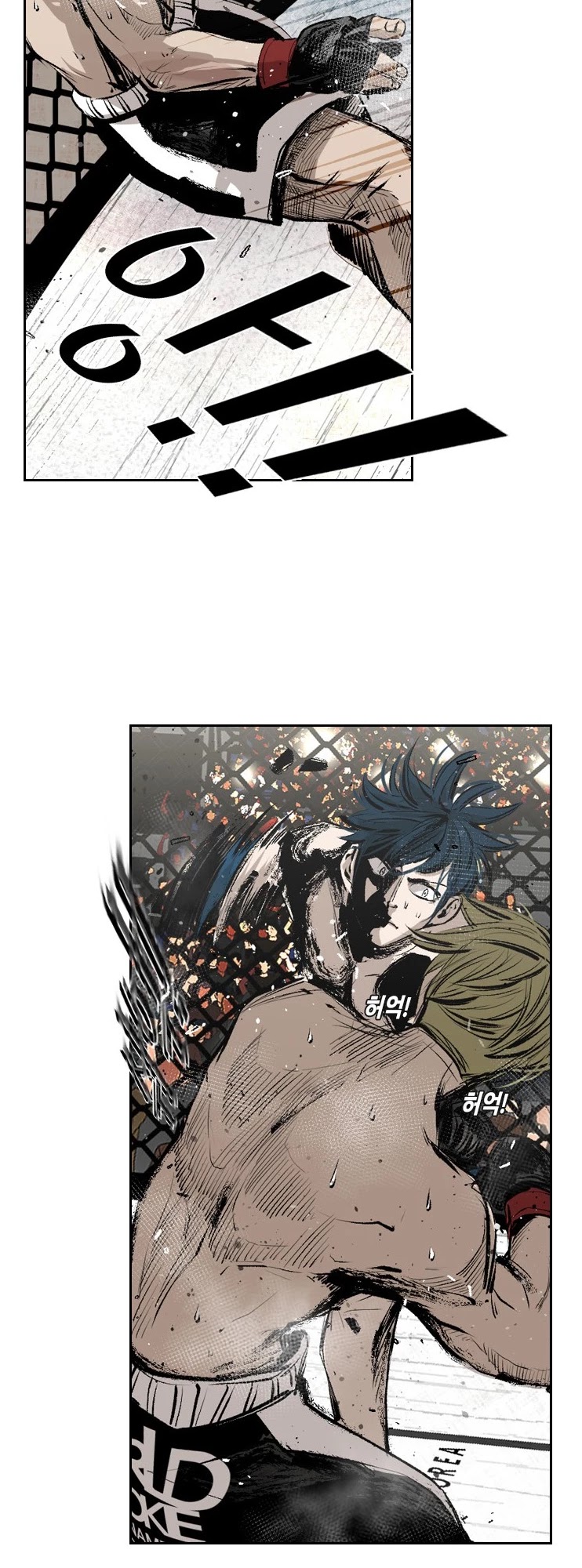 Read Shark EN Manga Online