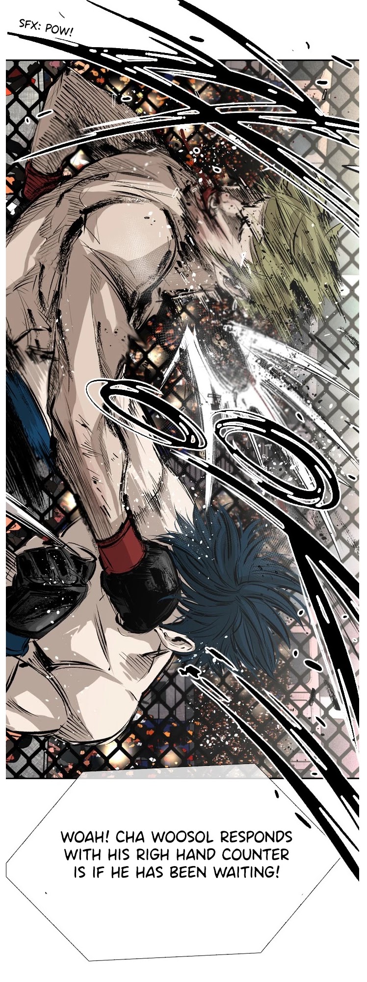 Read Shark EN Manga Online