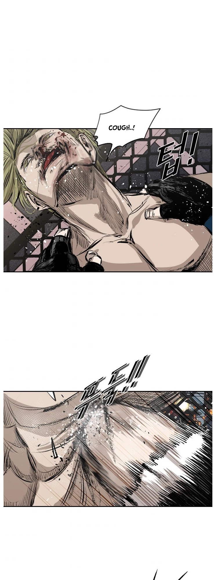 Read Shark EN Manga Online