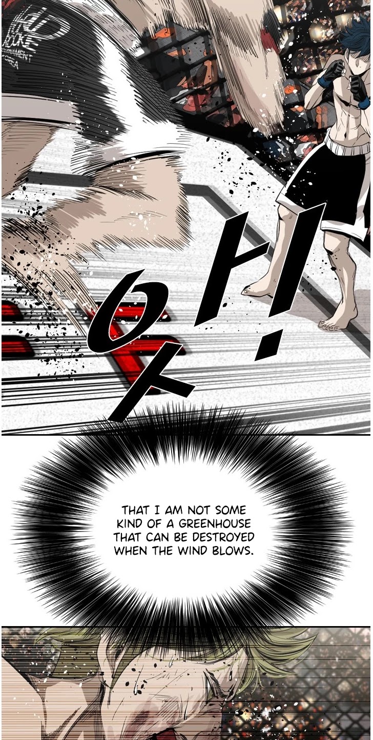 Read Shark EN Manga Online