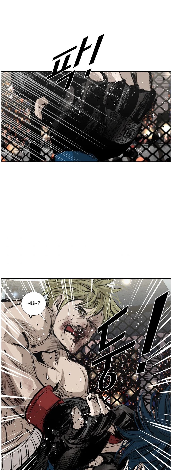 Read Shark EN Manga Online