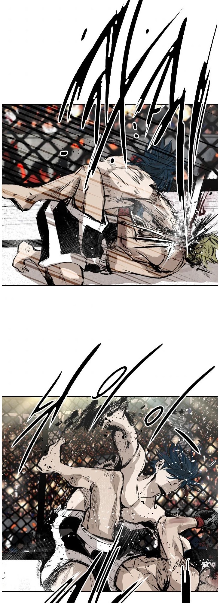 Read Shark EN Manga Online