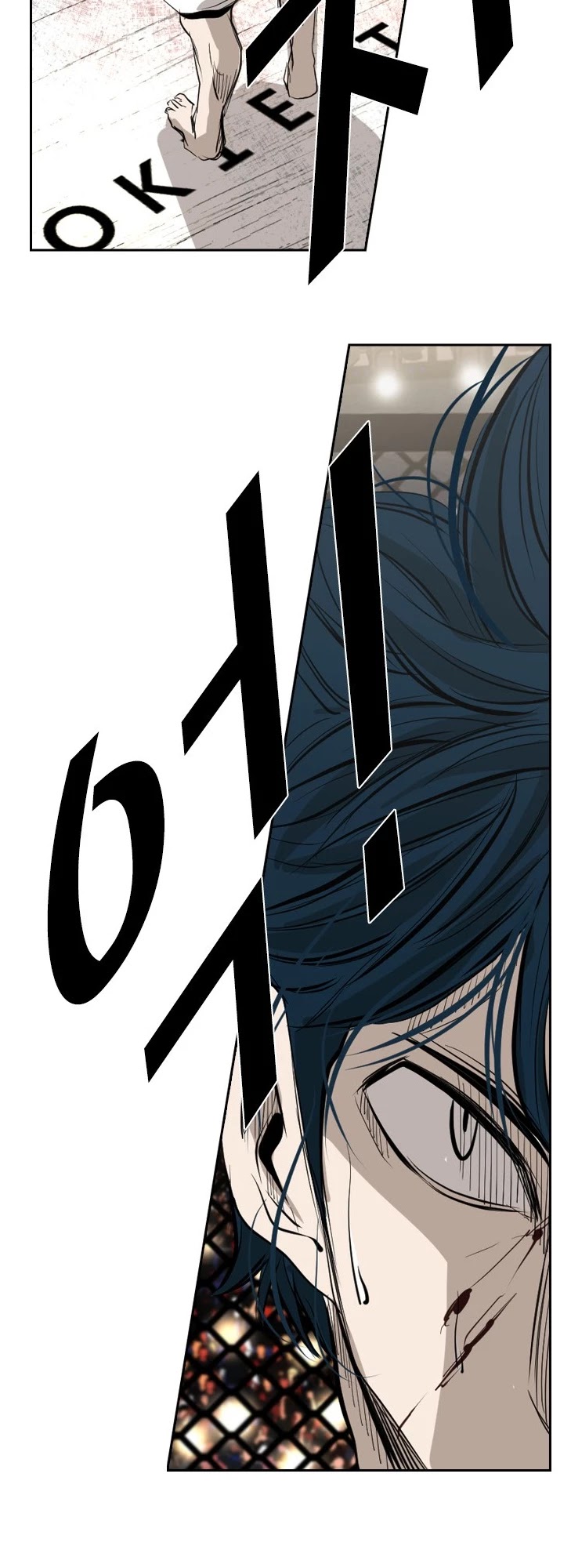 Read Shark EN Manga Online