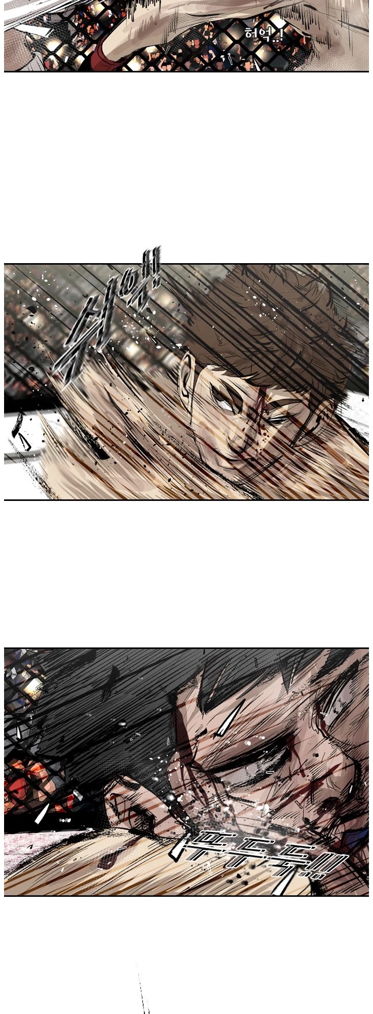 Read Shark EN Manga Online