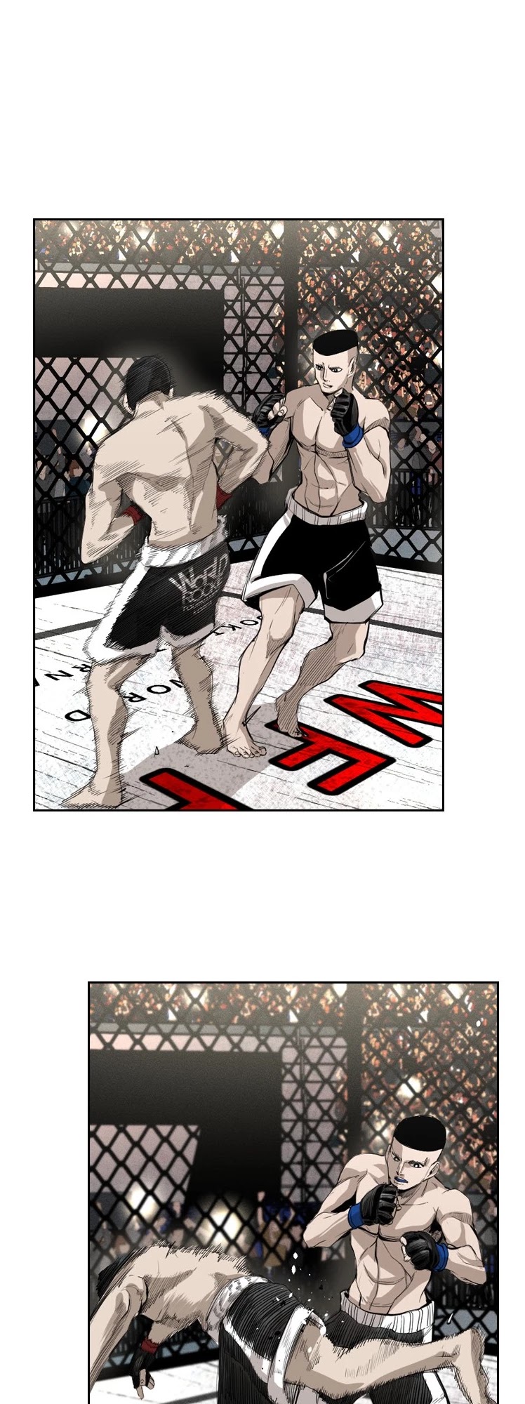 Read Shark EN Manga Online