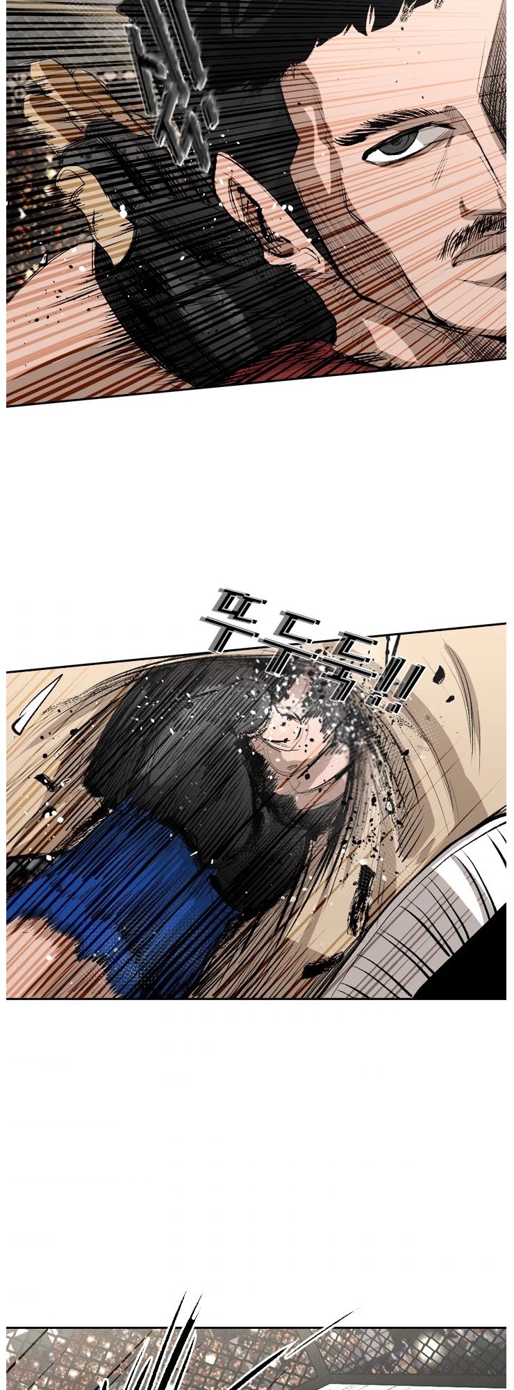 Read Shark EN Manga Online