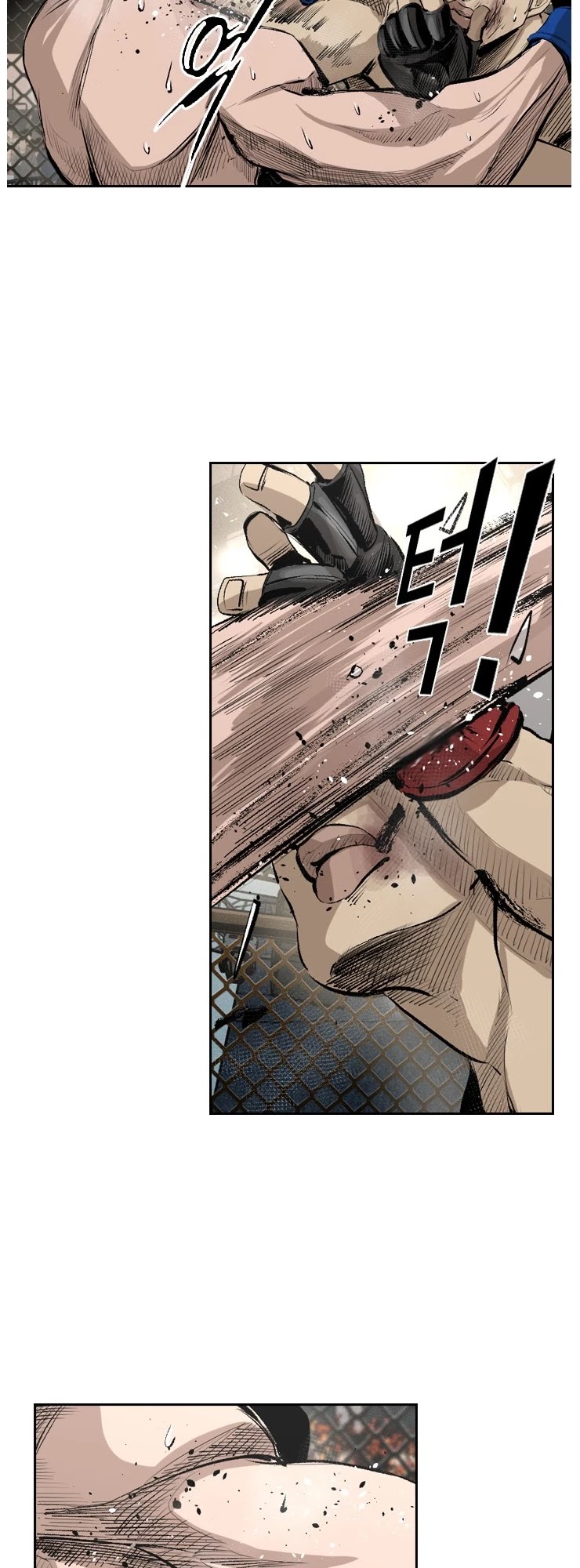 Read Shark EN Manga Online