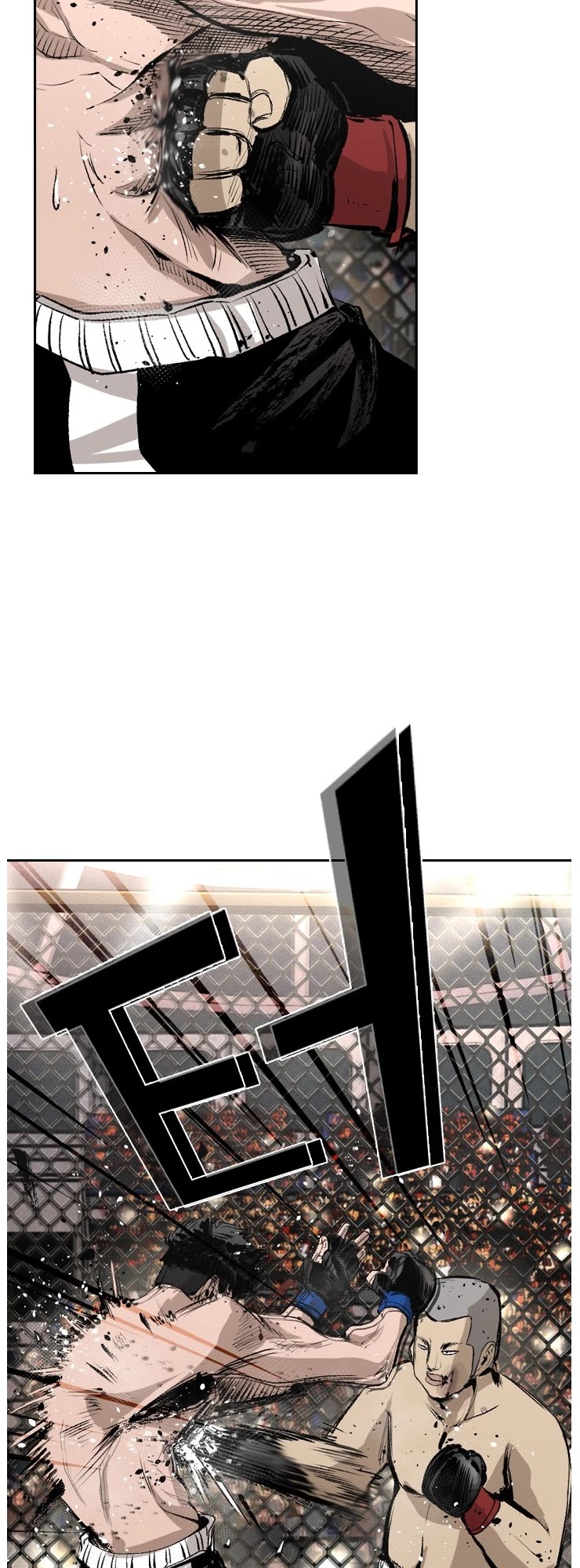 Read Shark EN Manga Online