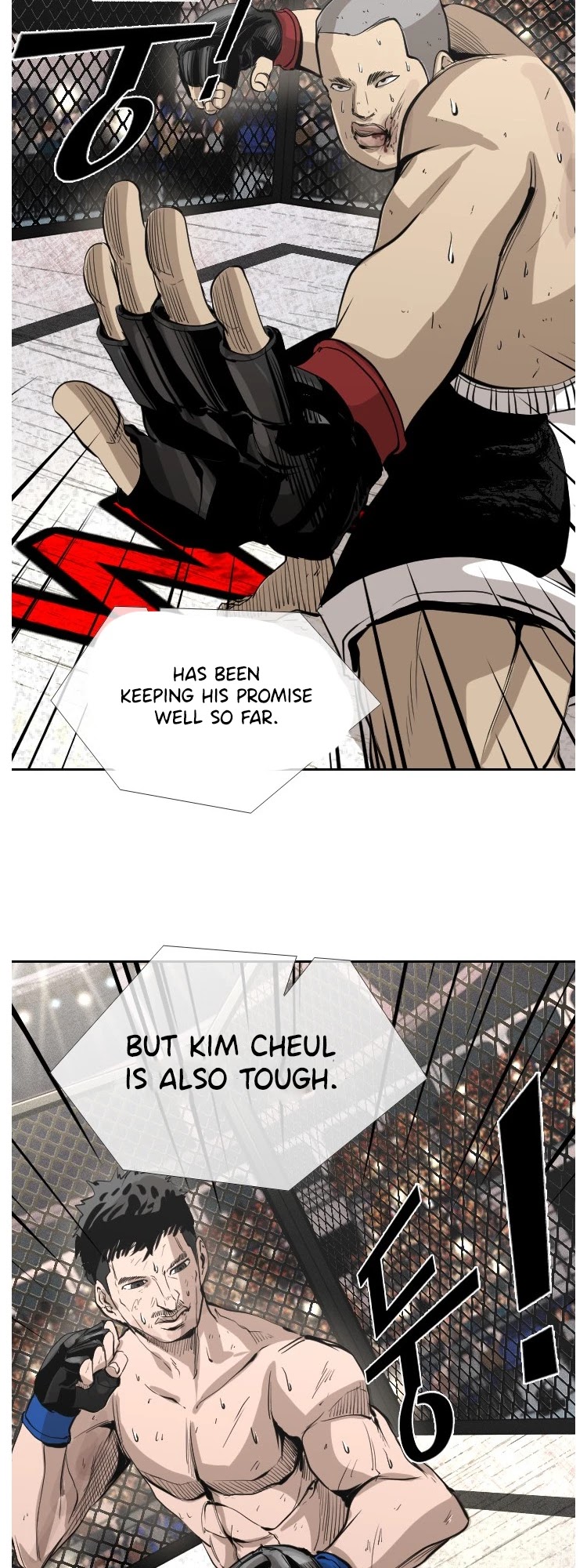 Read Shark EN Manga Online