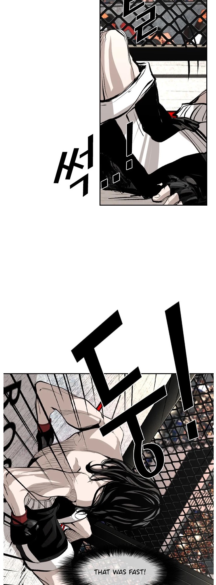 Read Shark EN Manga Online