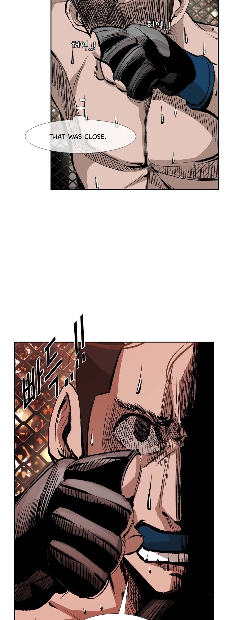 Read Shark EN Manga Online