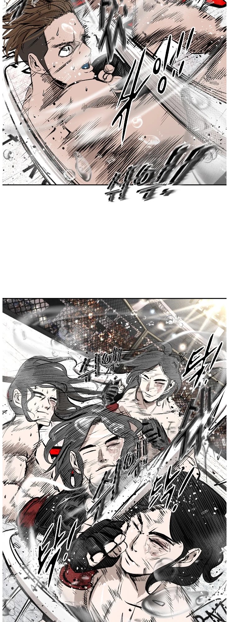 Read Shark EN Manga Online