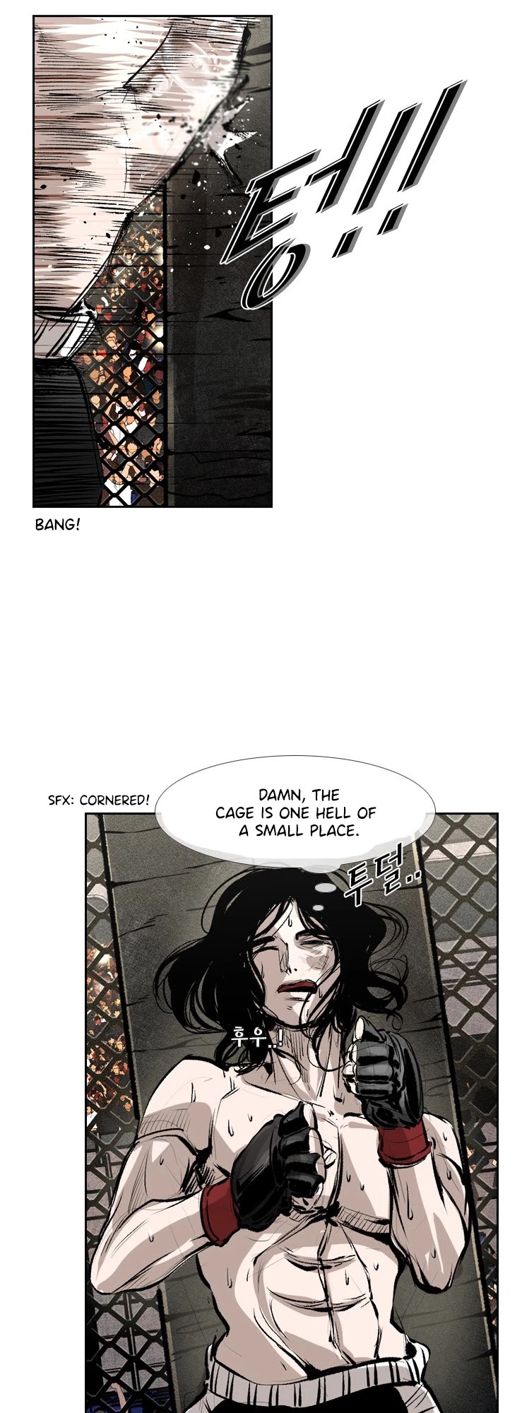 Read Shark EN Manga Online