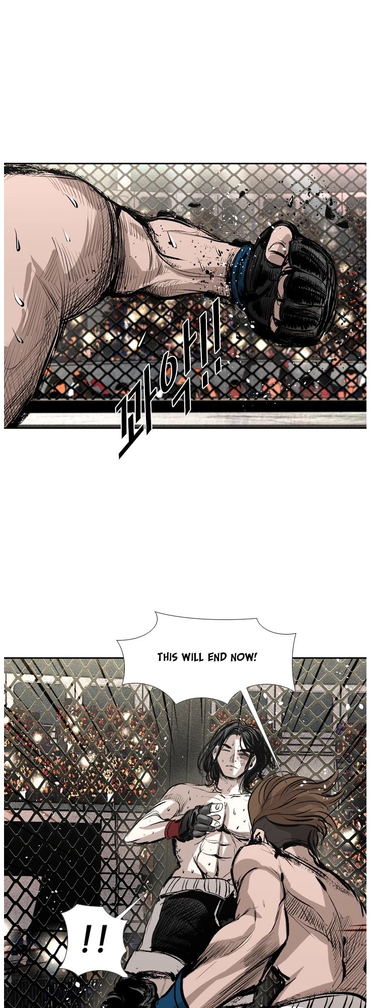 Read Shark EN Manga Online