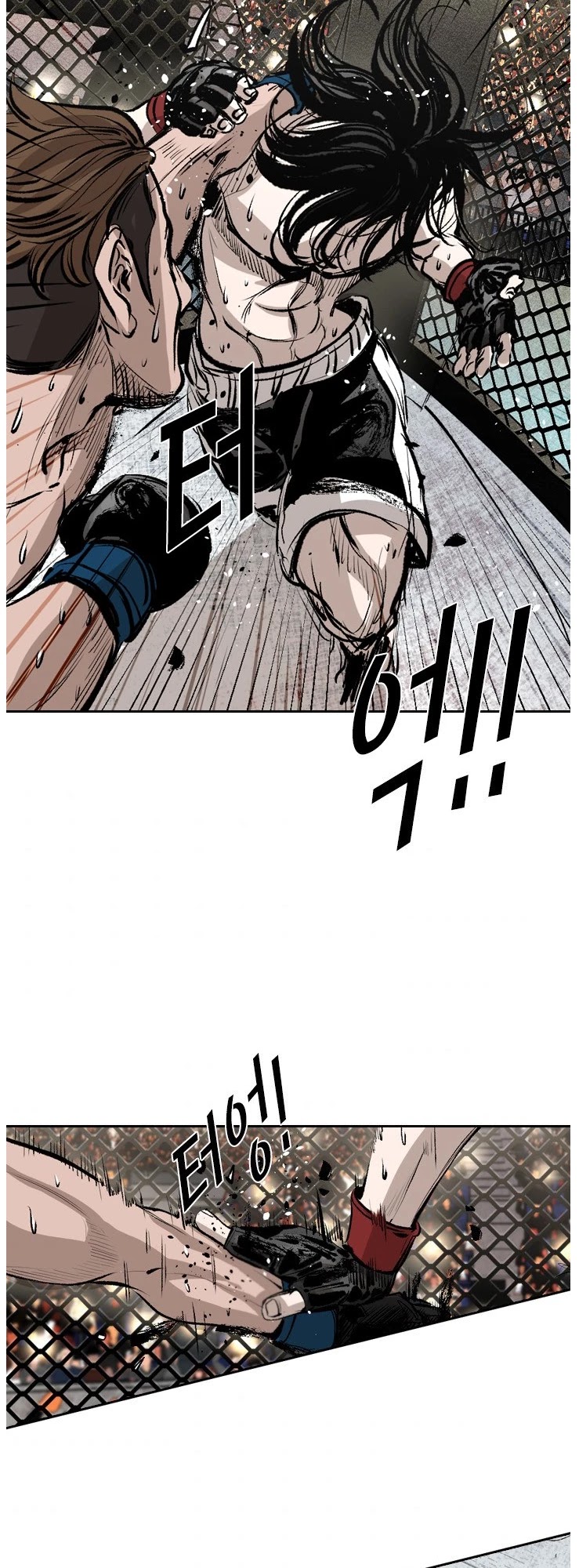 Read Shark EN Manga Online