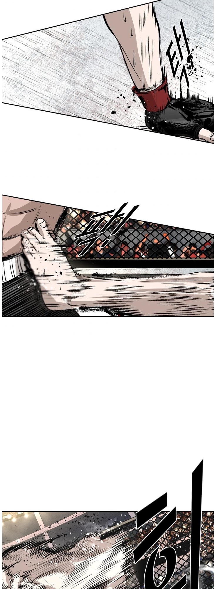 Read Shark EN Manga Online