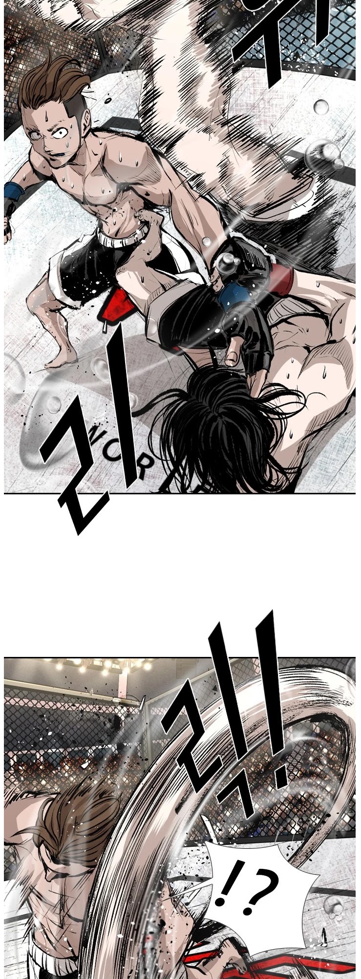 Read Shark EN Manga Online