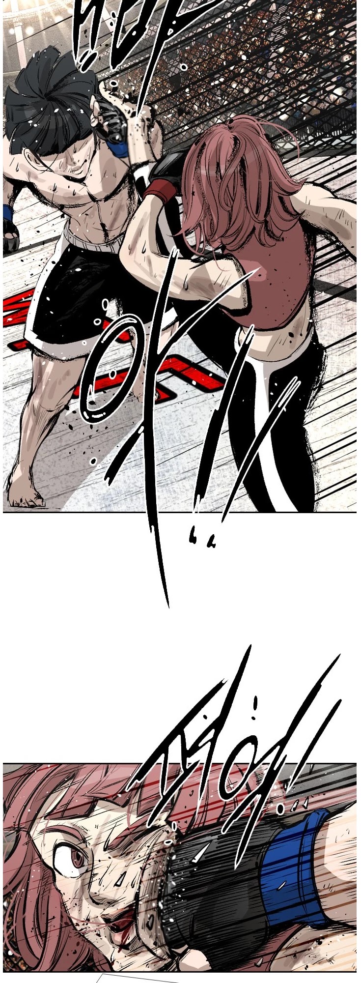 Read Shark EN Manga Online