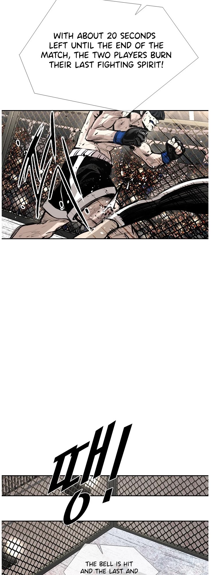 Read Shark EN Manga Online