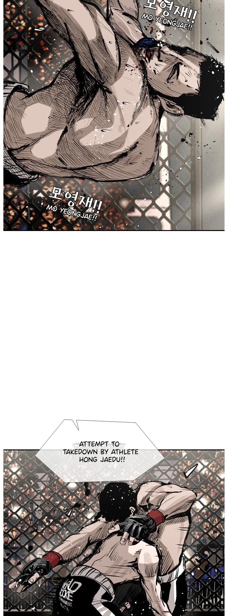 Read Shark EN Manga Online
