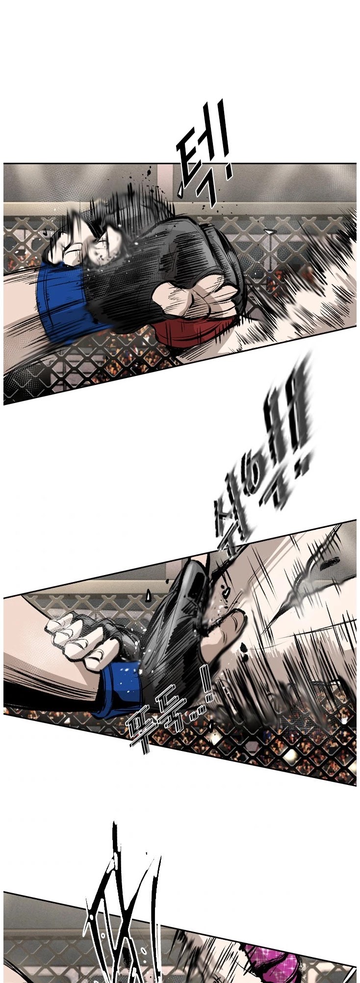 Read Shark EN Manga Online